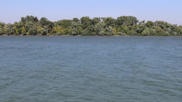 Amplio Río Danubio Belgrado Serbia Summer Day Ampliación Naturaleza — Vídeo de stock