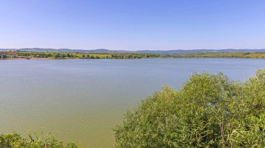 Pavlovac Gölü 'nde Sakin Su Kurdos Yaz Günü Voyvodina