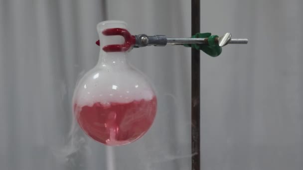 Frasco Rojo Experimento Hielo Seco Proyecto Ciencias Escuela Laboratorio — Vídeos de Stock