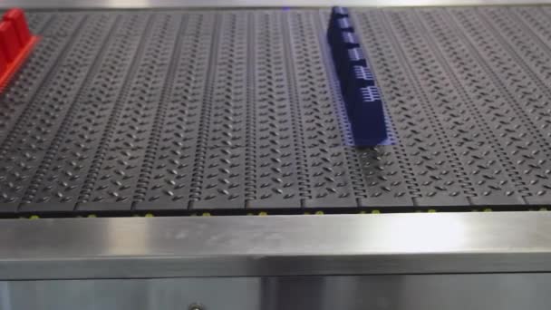 Conveyor Bælte Til Køretøjer Ved Automatisk Bevægelse System Car Wash – Stock-video