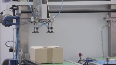 Otomatik Vakum Emme Kolları Seçimi ve Paket Kutusu Taşıyıcı Kayışı