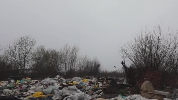 Belgrado Servië Maart 2021 Illegale Dumping Site Side Road Milieuvervuiling — Stockvideo