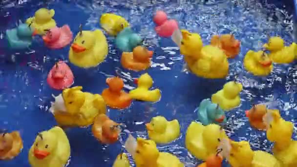 Patos Amarelos Flutuando Piscina Parque Diversões Água Kids Game — Vídeo de Stock