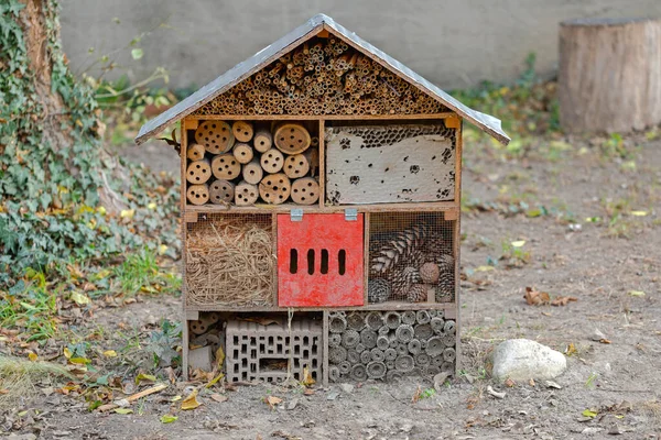 Wooden House Habitat Hotel Bees Bugs Shelter Городском Парке — стоковое фото