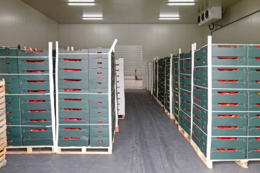 Depolama Deposundaki Paletlerde Ürün Sandıkları