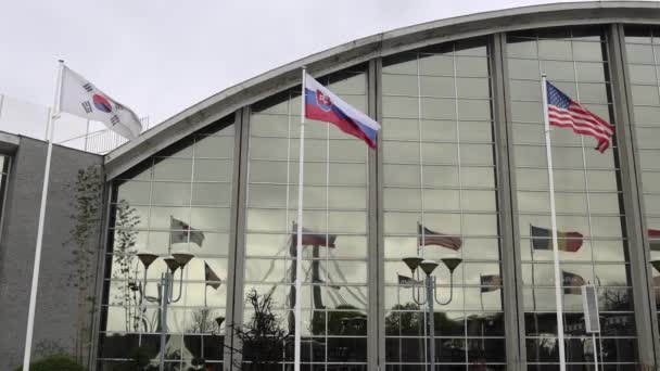 Coreia Sul Eslováquia Estados Unidos América Bandeiras Mundo Frente Centro — Vídeo de Stock