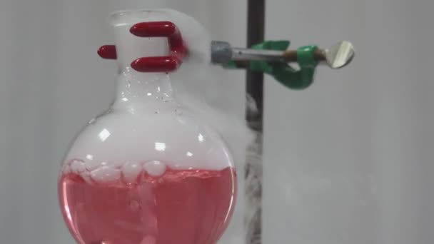 Frasco Rojo Experimento Hielo Seco Proyecto Ciencias Escuela Laboratorio — Vídeos de Stock