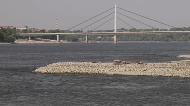 Szabadság Híd Duna Felett Újvidék Napfényes Nyári Nap — Stock videók