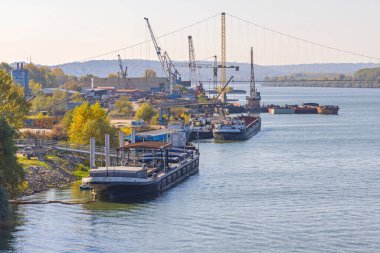 Sırbistan 'ın Smederevo kentindeki Tuna Nehri Limanında Gemiler ve Mavnalar