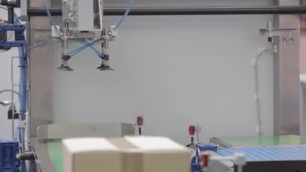 Zautomatyzowany Chwytak Ramion Ssania Próżniowego Umieszczenie Pojemnika Transportowego Zoom — Wideo stockowe