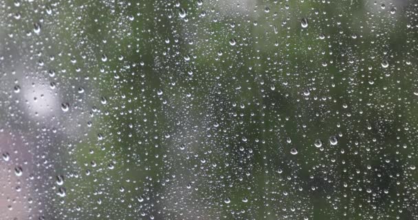 Regndråber Regnfald Vådt Glas Vindue Abstrakt Vejr – Stock-video