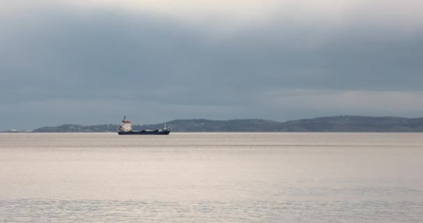 Enkelt Fragtskib Ved Trieste Adriaterhavet – Stock-video