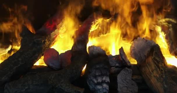 Logs Madeira Lareira Fogo Fumaça Queima Efeitos Decoração — Vídeo de Stock