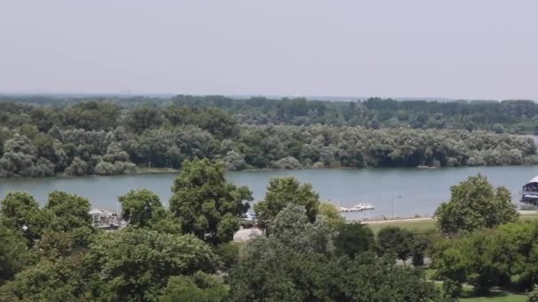 Great War Island Mellem Floder Sava Donau Confluence Beograd Summer – Stock-video