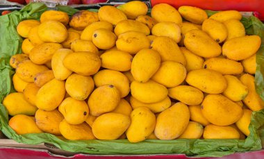 Tatlı Olgun Taze Sarı Mango Çiftçi Marketinde Tropikal Meyve