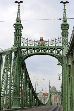 Budapeşte Macaristan 'da Tuna Nehri üzerindeki Yeşil Demir Özgürlük Köprüsü