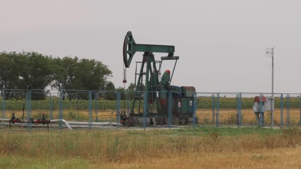 Zrenjanin Serbia July 2022 Pumping Oil Well Pump Jack Farm — Stock Video