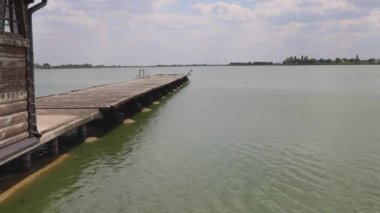 Palic Gölü Doğa Rezervi Yaz Gününde Martı Kuşlu Ahşap İskele