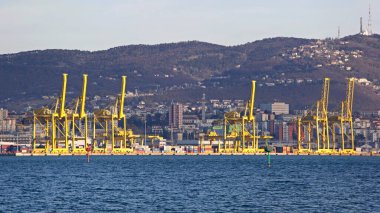 Treste, İtalya - 18 Aralık 2012: Adriyatik Deniz Kış Günü Ticari Limanında Sarı Gantry Turnaları.