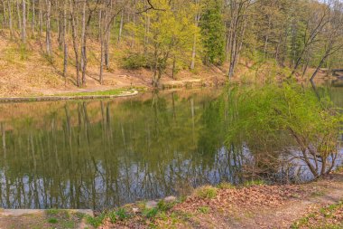 Sırbistan 'da Tresnja Gölü Balıkçılık Günü Doğası