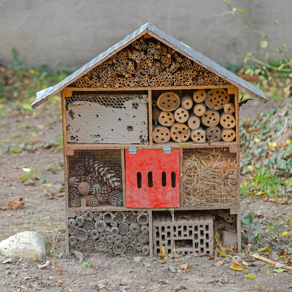 House Shape Shelter Hotel for Bees Insects in City Park