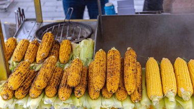 İstanbul 'da Sokak' ta Kızarmış Mısır Koçanı