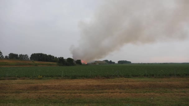 Dobás Helye Tűz Füst Légszennyezés Tűzoltók Teherautó Vészhelyzet Veszély Jogdíjmentes Stock Videó