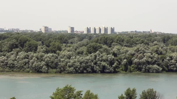 Great War Island Mellem Floder Sava Donau Beograd Serbien Summer – Stock-video