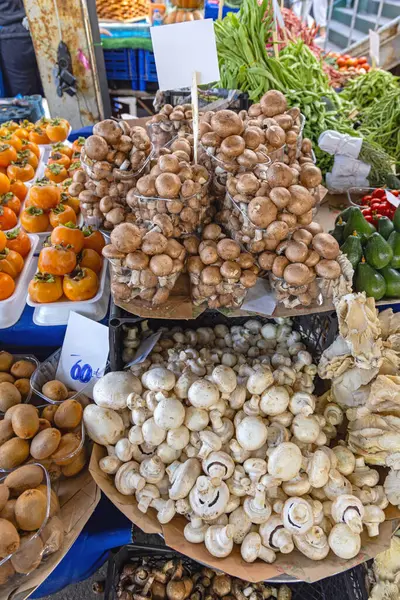 Variety of Edible Mushrooms at Farmers Market Stall