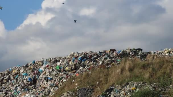 Bjerg Skrald Affald Trash City Dump Site Deponering Stock-video