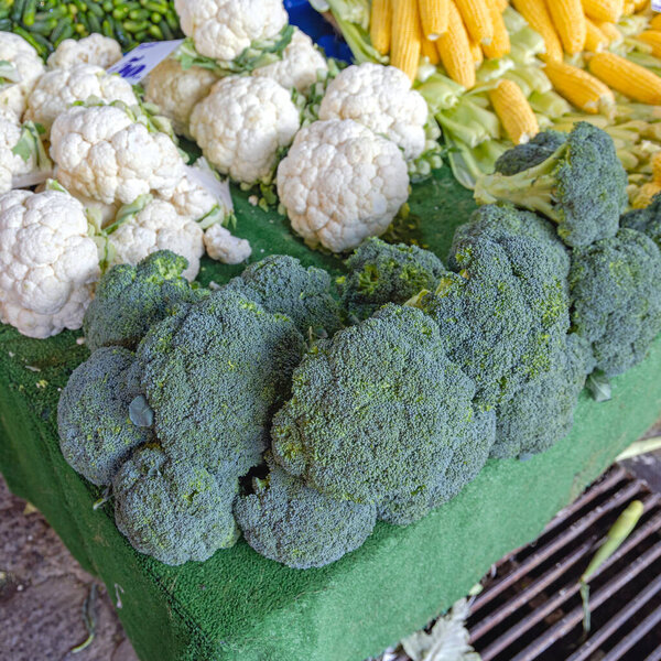 Fresh Broccoli and Cauliflower Vegetables at Farmers Market