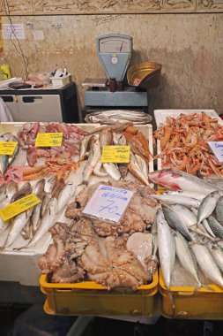 Rijeka, Hırvatistan - 17 Ekim 2014: Eski Kentteki Balık Pazarında Satılık Taze Deniz Ürünleri Ahtapotu.