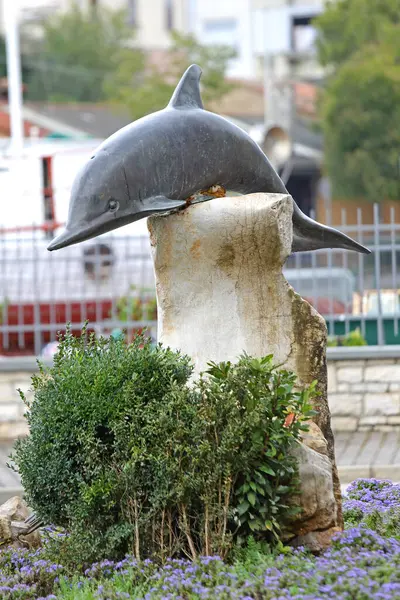 Rovinj Croacia Octubre 2014 Escultura Bronce Del Monumento Delfín Casco Imágenes De Stock Sin Royalties Gratis