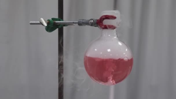 实验室科学项目 中的红瓶干冰实验 — 图库视频影像