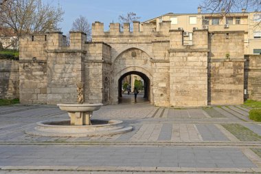 Vidin, Bulgaristan - 16 Mart 2024: Stambol Kapısı Önündeki Balıklı Su Fıskiyesi Şehir Merkezindeki Tarihi Taşlar.