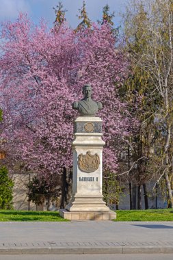Craiova, Romanya - 16 Mart 2024: Alexandru Ioan Cuza Caddesi Sunny Spring Day 'deki Kral I. Michael Anıtı.