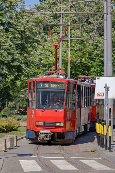 stock image Belgrade, Serbia - May 13, 2024: Front View of Red Tram Number Seven Public Transport in Capital City Spring Day.