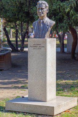 Belgrad, Sırbistan - 02 Ekim 2021: Bir Akademisyen Radomir Lukiç 'in Bronz Baskını Sonbahar Günü Başkent Merkezindeki Tasmajdan Parkı' ndaki Tarihi eser.