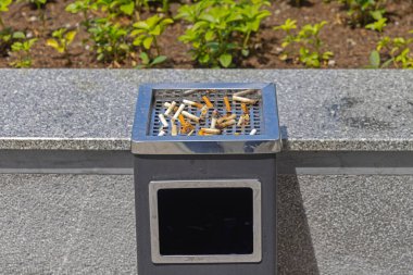 Güneşli bir günde Şehir Parkı 'nda Ücretsiz Sigara Küllüğü