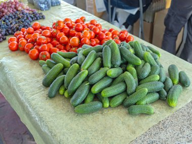 Taze Yeşil Salatalıklar Çiftçi Pazarında Sonbahar Günü Sebze