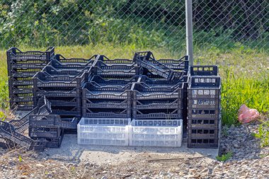 Meyve Çiftliğinde Paketleme Ürünleri İçin Boş Plastik Sandıklar