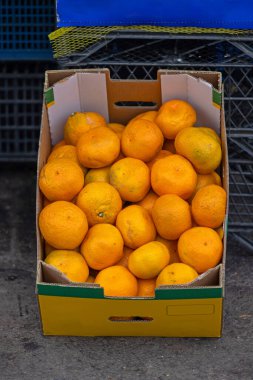 Mandarin Turuncu Mandalina Turunçgiller Sandıkta Tropikal Meyveler