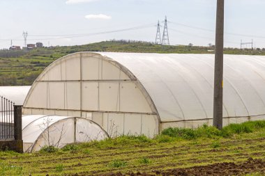 Çoklu Tünel Sera Yetiştiren Sebzeler Çiftçilik Bahar Gününü Üretiyor