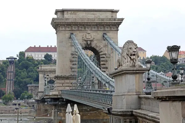 Budapeşte, Macaristan - 13 Temmuz 2015: Aslan Heykeli Başkentteki Szechenyi Köprüsünde Aslan Heykeli.