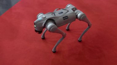 Özerk Evcil Köpek Robotu Kendi Denemeleriyle Nasıl Harekete Geçeceğini Öğreniyor