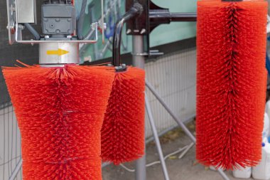 İnekler için Üç Kırmızı Fırça Çiftlikte Hayvan Sağlığını İyileştiriyor