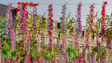 Üsküp 'ün Kuzey Makedonya Caddesinde Asılı Renkli Salkım Çiçekleri