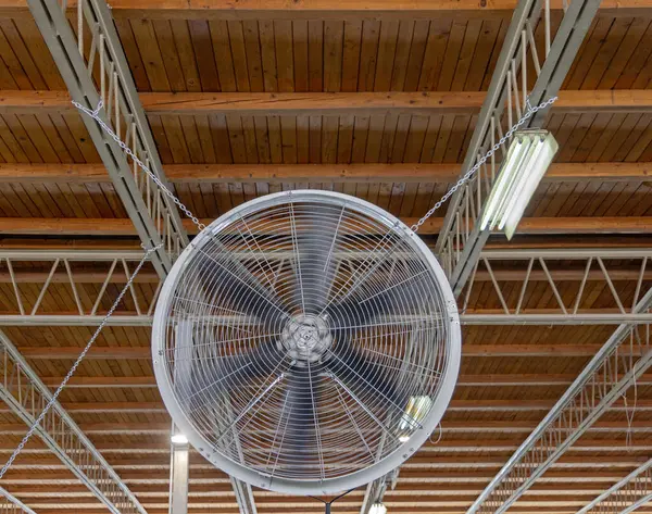 Çiftlik binasının tavanından sarkan büyük endüstriyel vantilatör.