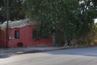 Küçük pembe bir ev, yemyeşil bir ağacın altında..