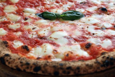 Fesleğenli lezzetli margherita pizzasının yakın çekimi..